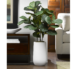 48''+Faux+Fiddle+Leaf+Fig+Plant+in+Planter