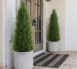 48_+_36_+Artificial+Cedar+New+Leaf+Set-118220254 (3)