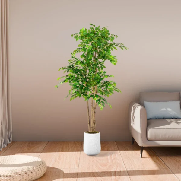 70 "Faux Ficus Tree In a White Magnesium Mud Flower pot, Faux Plant - Image 3