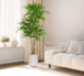 70+_Faux+Ficus+Tree+In+a+White+Magnesium+Mud+Flower+pot,+Faux+Plant (2)