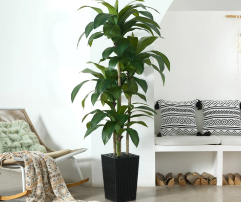 Adcock+UV+Resistant+Artificial+Green+Dracaena+Tree,+Faux+Tree+with+Large+Base+for+Indoor+Outdoor-439326812-439326814 (1)