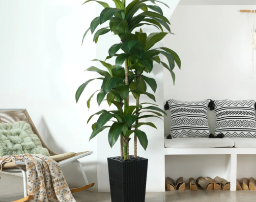 Adcock+UV+Resistant+Artificial+Green+Dracaena+Tree,+Faux+Tree+with+Large+Base+for+Indoor+Outdoor-439326812-439326814 (1)