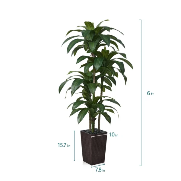 Adcock UV Resistant Artificial Green Dracaena Tree - Image 3