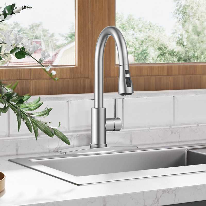 Pull Down Single Handle Kitchen Faucet with Accessories WW003C